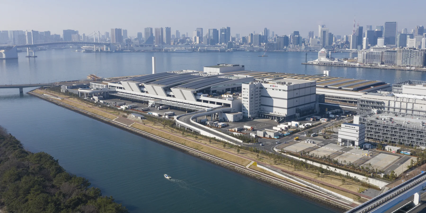 Aerial view of the Toyosu Market complex on reclaimed land in Tokyo Bay, with the Rainbow Bridge and the central Tokyo skyline behind it